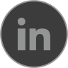 Linkedin Icon Michalrech v1